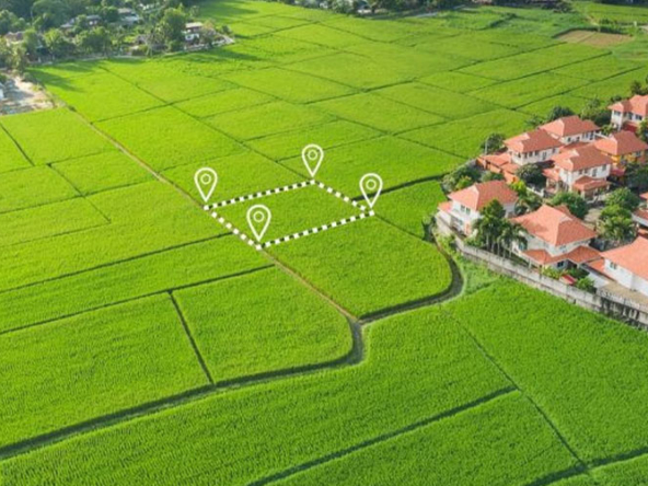 قیمت باغ شهری در شیراز